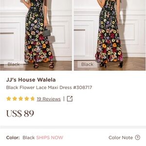 JJs House Black Floral Lace Maxi Gown with Multicolor Blooms